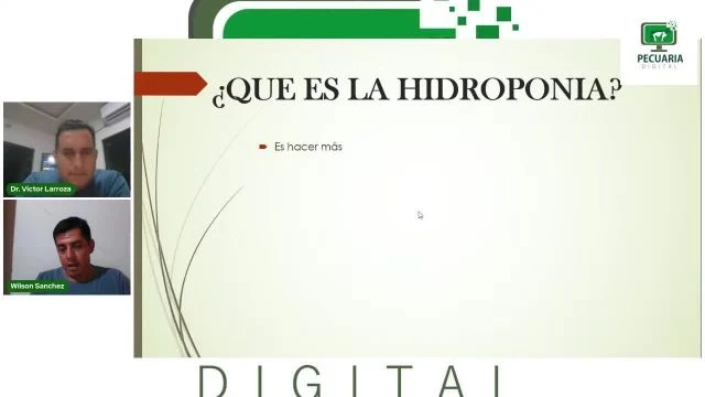 Hidroponia