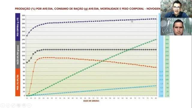 Módulo 4-mp4_HD_DOWNLOAD
