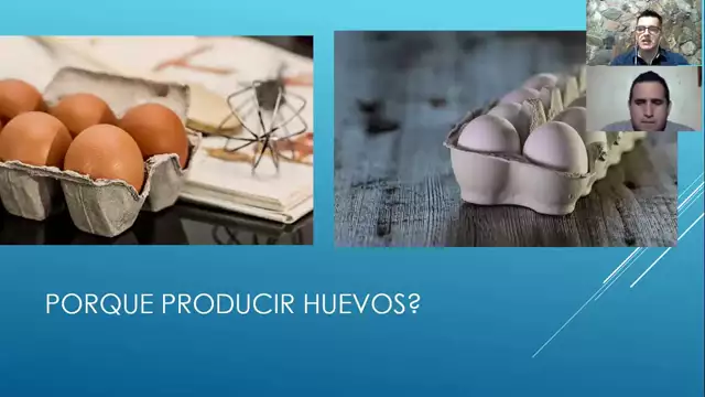 Módulo I-mp4_HD_DOWNLOAD