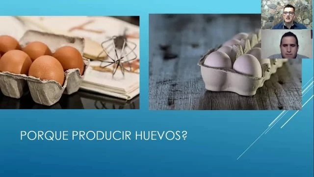 Módulo I-mp4_HD_DOWNLOAD