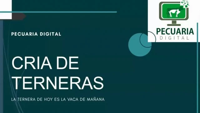 Curso Crianza de Terneras_SD_DOWNLOAD