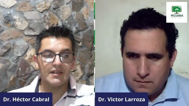 PRODUCCIÓN DE AVES DOBLE PROPÓSITO (SEMI CASERO - COLONIAL - CAIPIRA)-mp4_HD_DOWNLOAD