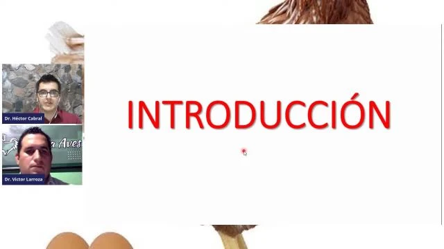 CURSO DE PRODUCCIÓN DE HUEVOS_HD_DOWNLOAD