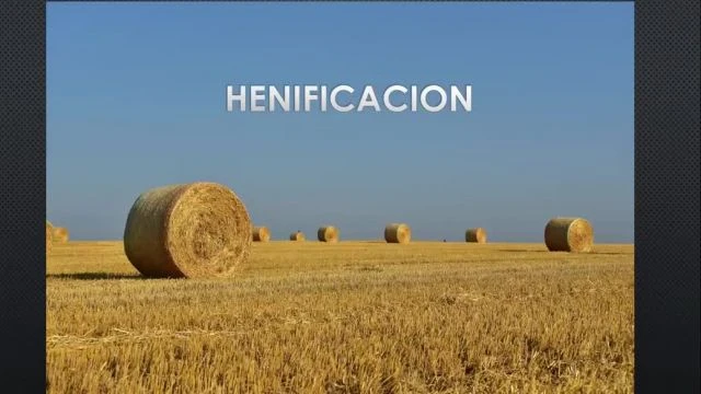 curso_produccion_bovina_de_carne_clase_3-mp4 (720p)