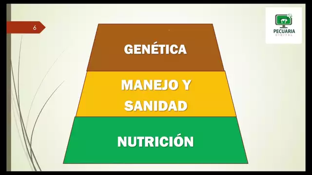 Modulo 2 Alimentacion Basica Piramide Nutr (1080p_25fps_H264-128kbit_AAC)
