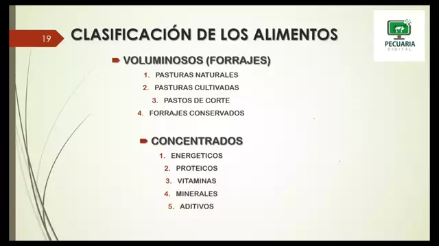 Modulo 3 Clasificacion de alimentos k-DV6SOUM9w 1920x1080