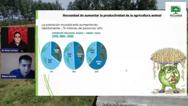 Forraje_Verde_Hidropónico